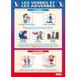 Les Verbes et les Adverbes Poster