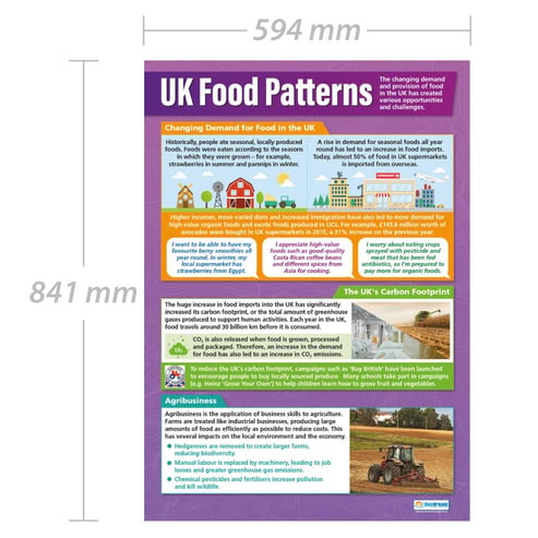 UK Food Patterns Poster