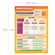 Radioactive Decay Poster