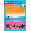 Agility Poster