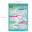 Separating Mixtures Poster