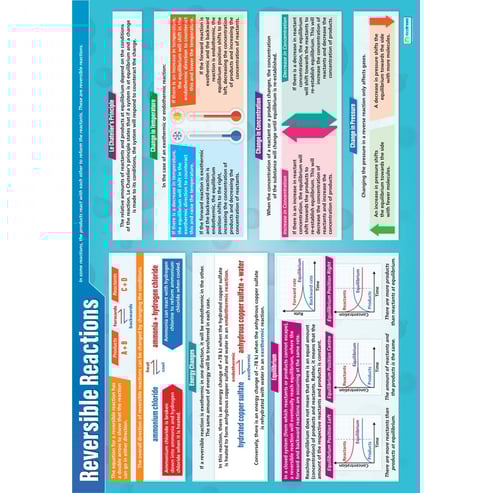 Reversible Reactions Poster