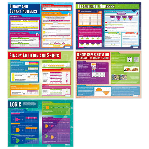 Data Representation Posters - Set of 5 