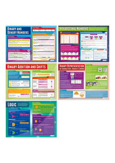 Data Representation Posters - Set of 5 