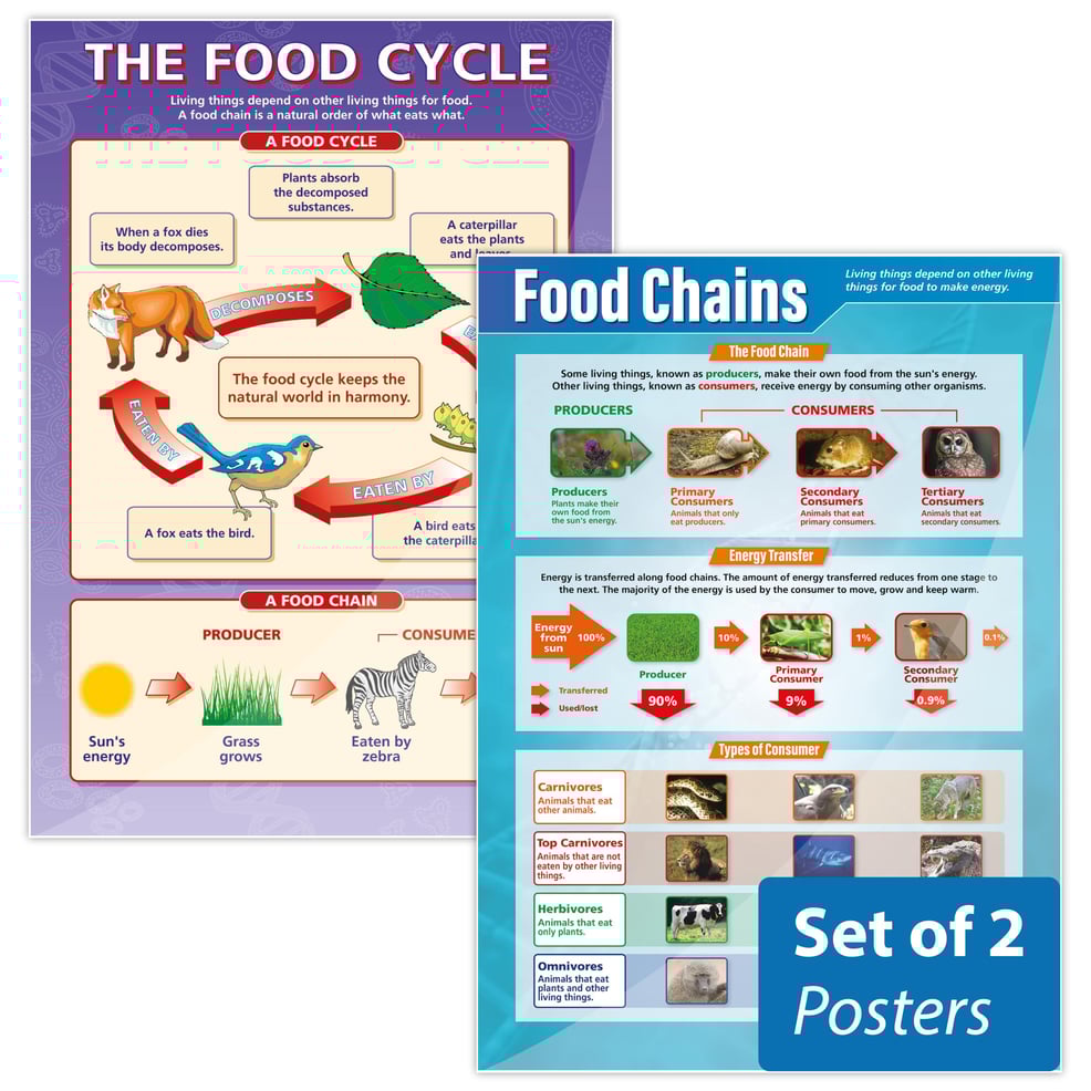 The Food Cycle & Food Chains Posters Biology Diagrams