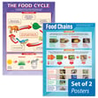 The Food Cycle & Food Chains Posters - Set of 2