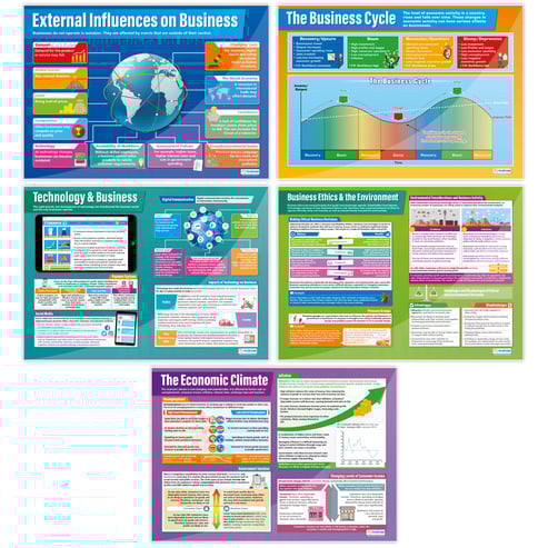 External Influences on Business Posters - Set of 8