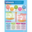 Euthanasia Poster