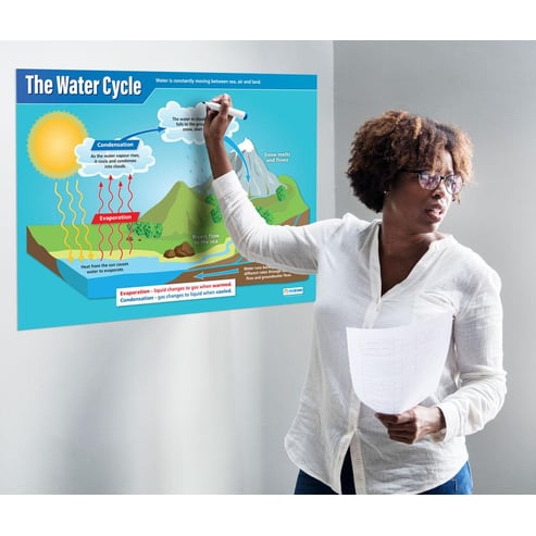 The Water Cycle Poster