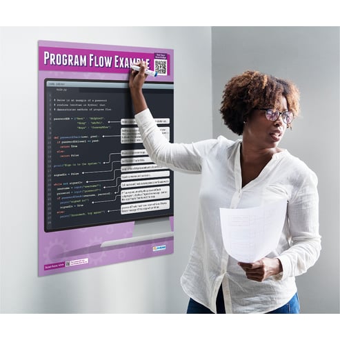 Program Flow Example Poster