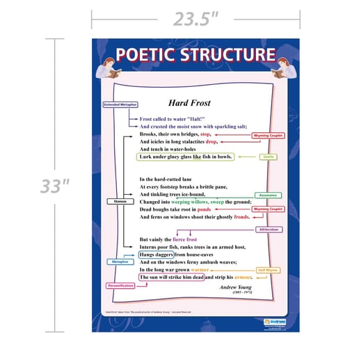 Poetic Structure Poster