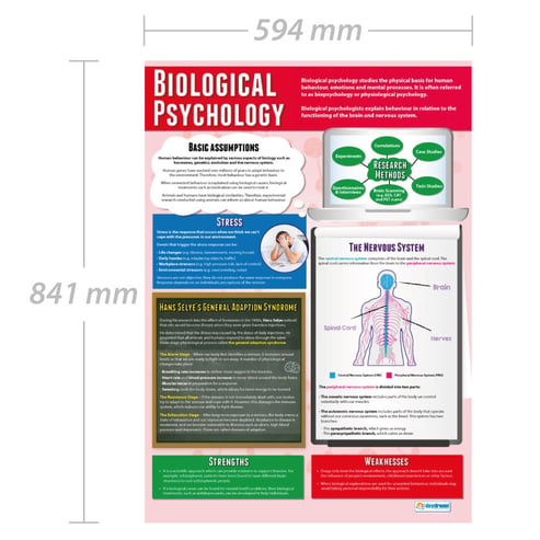 Biological Psychology Poster