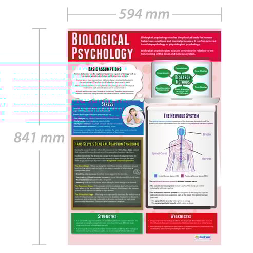 Biological Psychology Poster