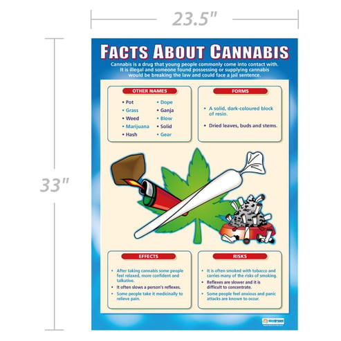 Facts About Cannabis Poster