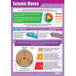 Seismic Waves Poster