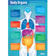 Body Organs Poster