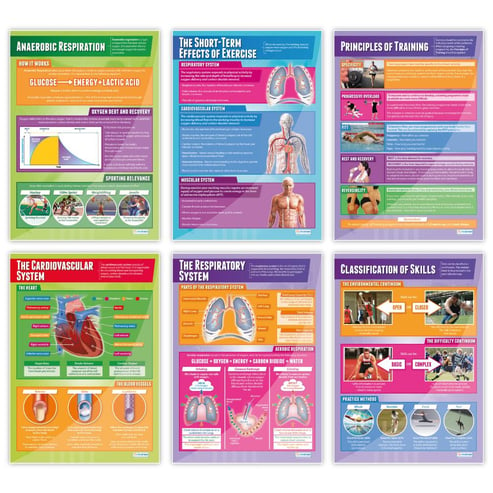 Physical Education Posters - Set of 40