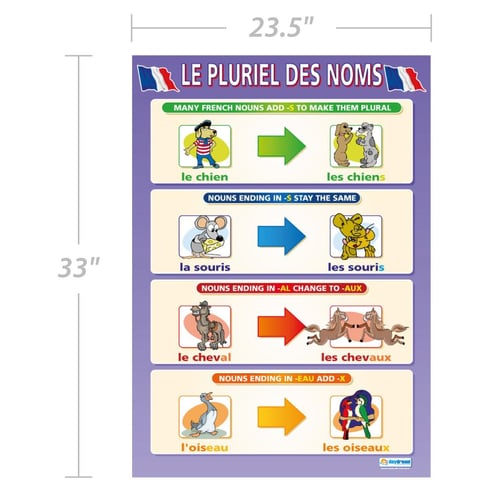 Le Pluriel des Noms Poster