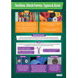 Textiles: Stock Forms, Types & Sizes Poster