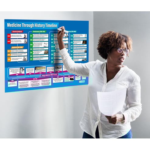 Medicine Through History Timeline Poster