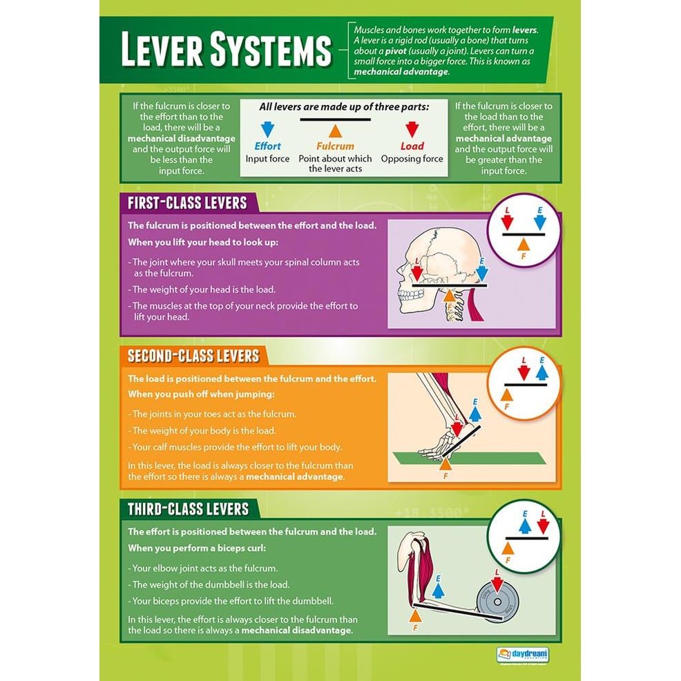Lever Systems Poster Daydream Education