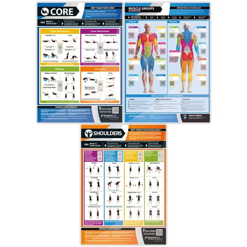 Exercise Posters - Set of 7 - Innovative Gym & Fitness Charts