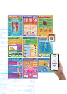 Applied Anatomy & Physiology Posters - Set of 9