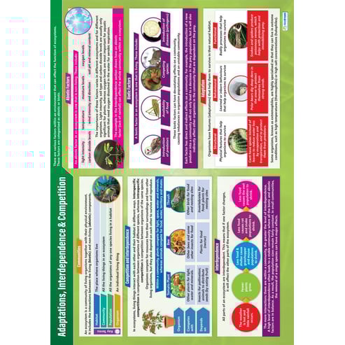 Adaptations, Interdependence & Competition Poster