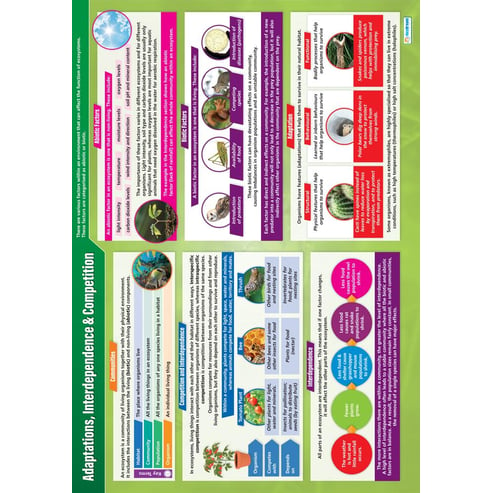 Adaptations, Interdependence & Competition Poster