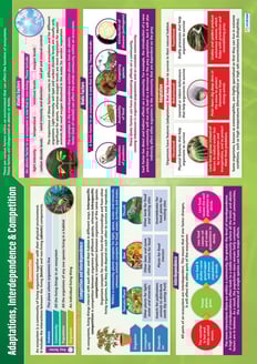 Adaptations, Interdependence & Competition Poster