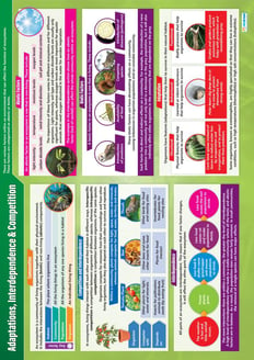 Adaptations, Interdependence & Competition Poster