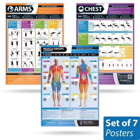 Exercise Posters - Set of 7