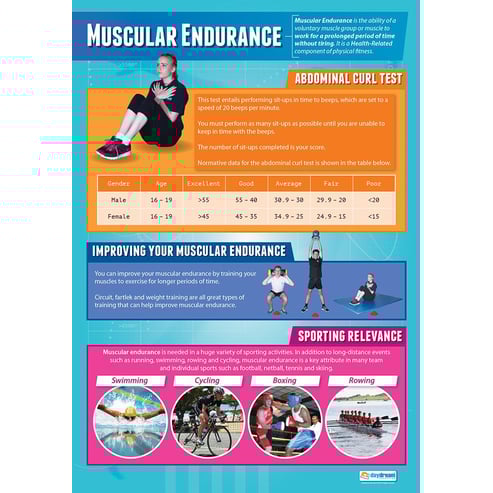 Muscular Endurance Poster