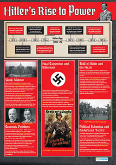 Hitler's Rise to Power Poster