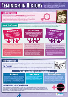 Feminism in History Poster