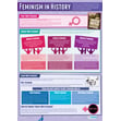 Feminism in History Poster