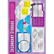 Secondary Storage Poster