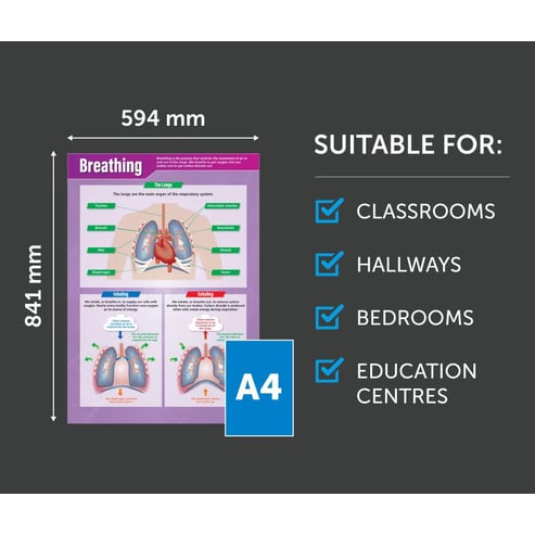 Breathing Poster