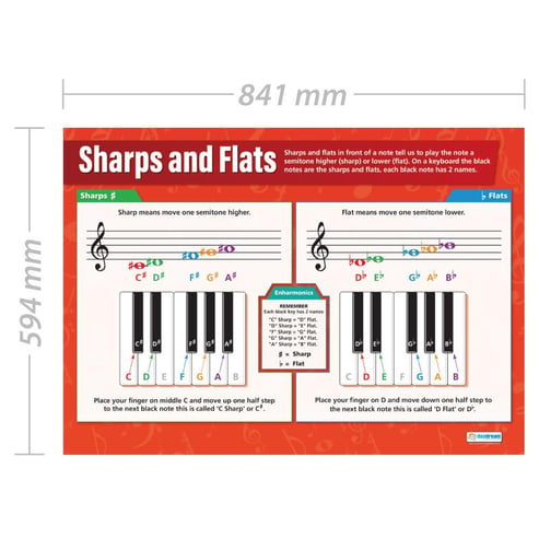 Sharps and Flats Poster