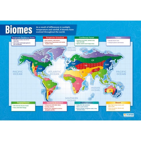 Global Ecosystems Posters - Set of 4