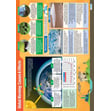 Global Warming: Causes & Effects Poster