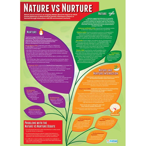 Debates in Psychology Posters - Set of 3 