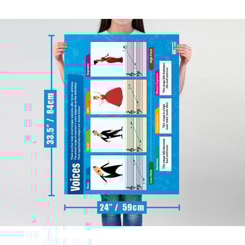 Voices Poster