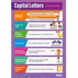 Punctuation Posters - Set of 4