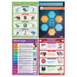 Network and the Internet Poster - Set of 16 