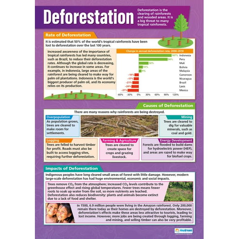 Deforestation Poster