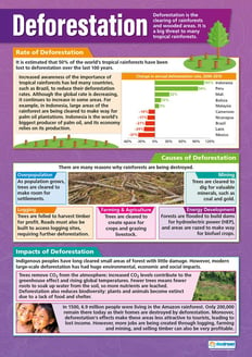 Deforestation Poster