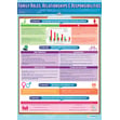 Family Roles, Relationships & Responsibilities Poster