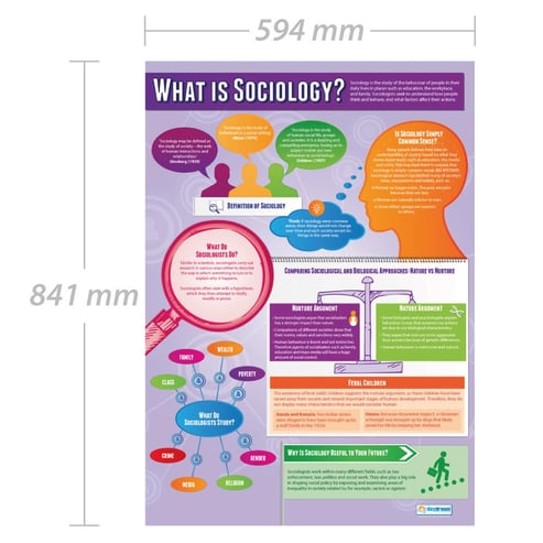 What is Sociology? Poster