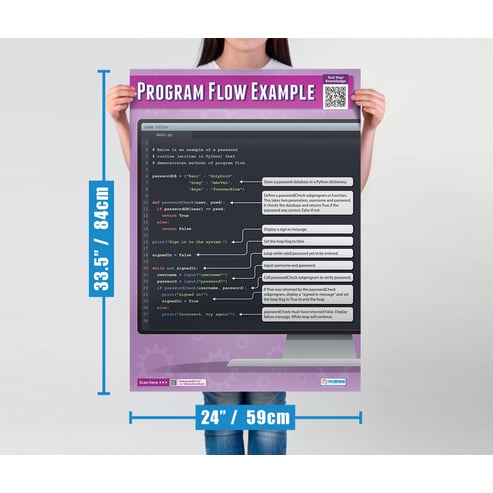 Program Flow Example Poster